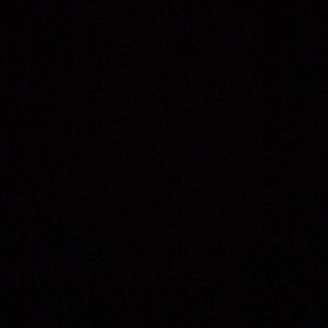 Meet your Posher, Daria